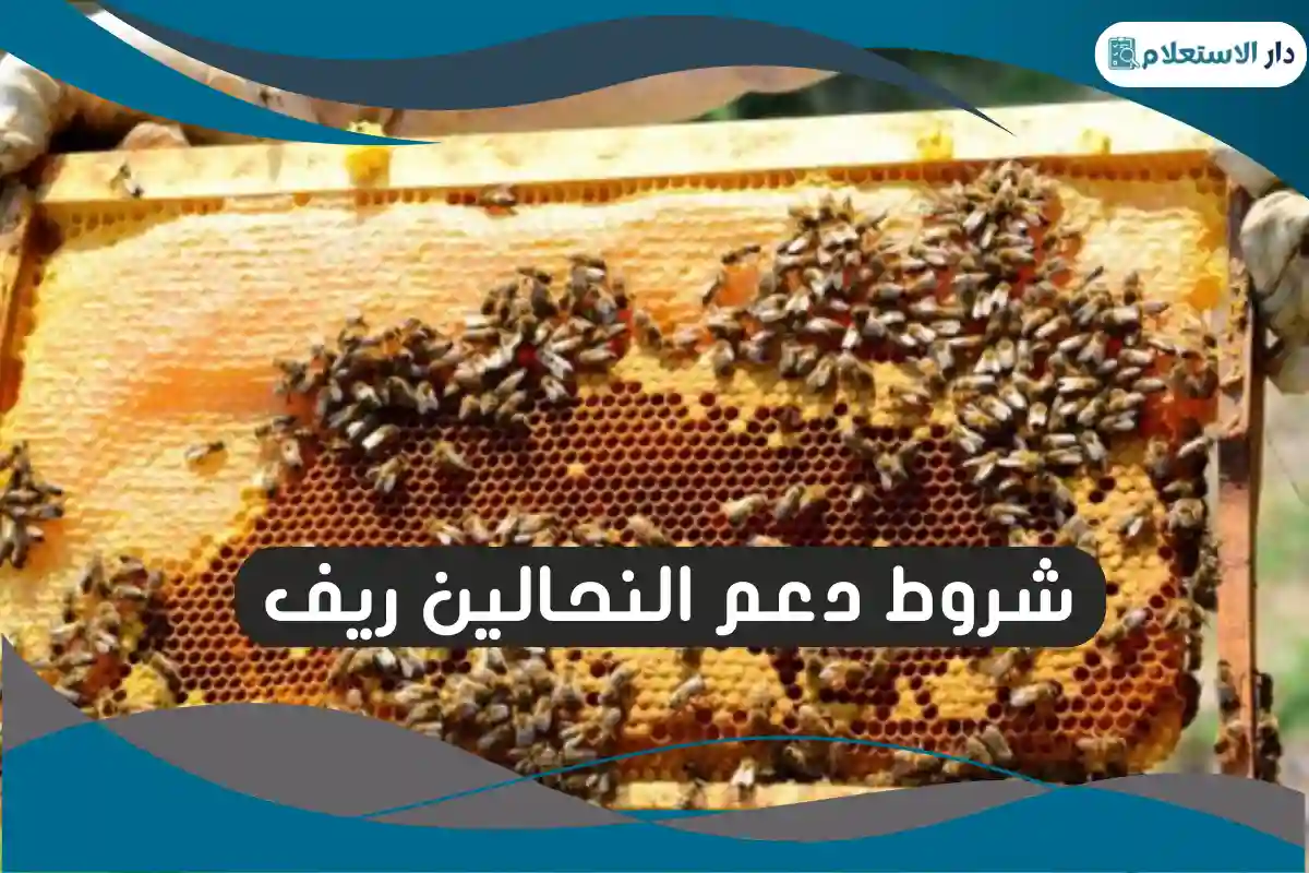 شروط دعم النحالين